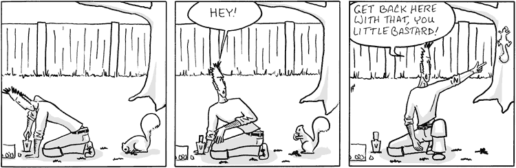 Damn those squirrels
